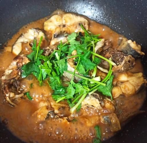 鲶鱼怎么做好吃_家常鲶鱼做法