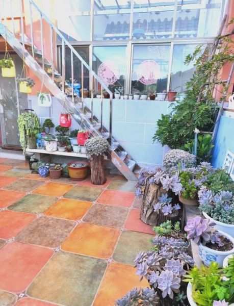 最美家园怎么打造_最美家园有哪些特点