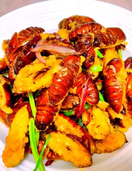 干煸蚕蛹怎么做_干煸蚕蛹的家常做法