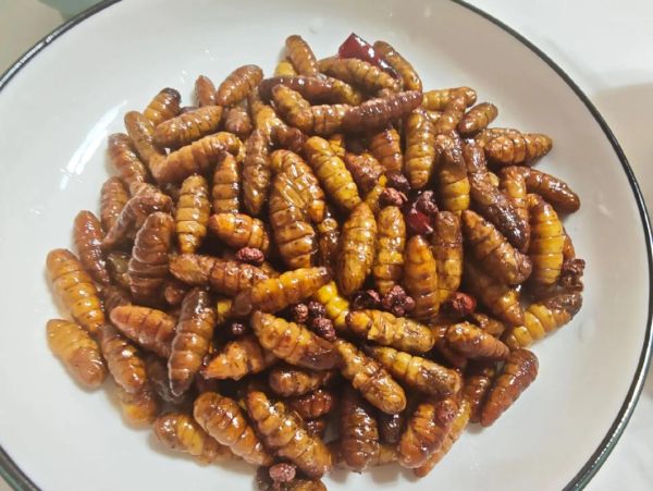 干煸蚕蛹怎么做_干煸蚕蛹的家常做法