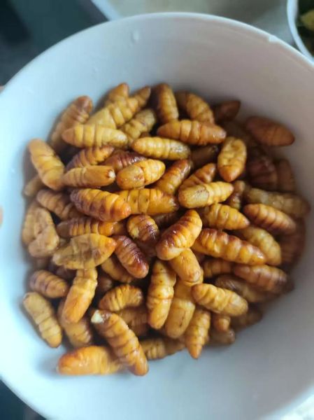 干煸蚕蛹怎么做_干煸蚕蛹的家常做法