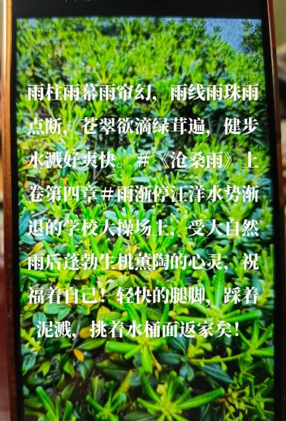 苍翠欲滴是什么意思_苍翠欲滴的用法与例句