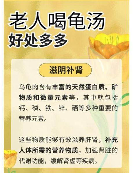 乌龟汤怎么炖_乌龟汤的做法步骤