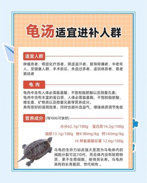 乌龟汤怎么炖_乌龟汤的做法步骤