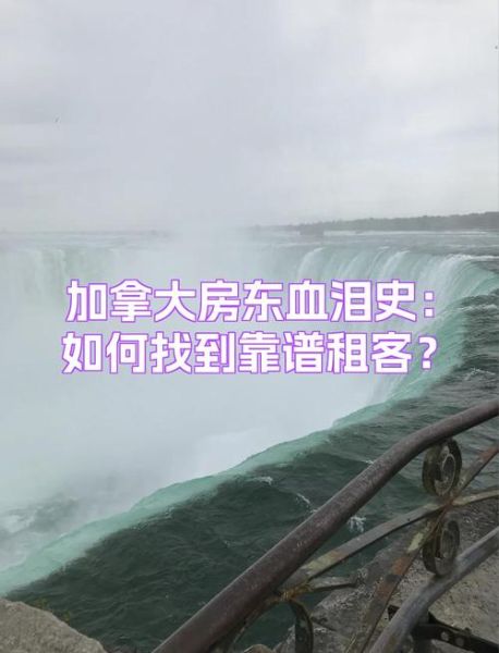 迈斯林移民集团怎么样_移民加拿大靠谱吗