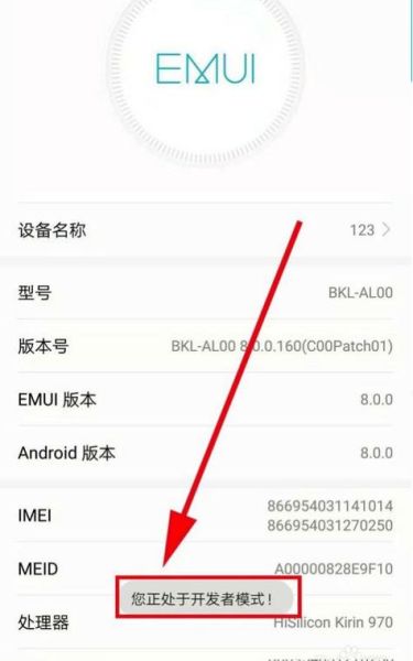 荣耀手机开发者选项在哪里_如何打开开发者模式