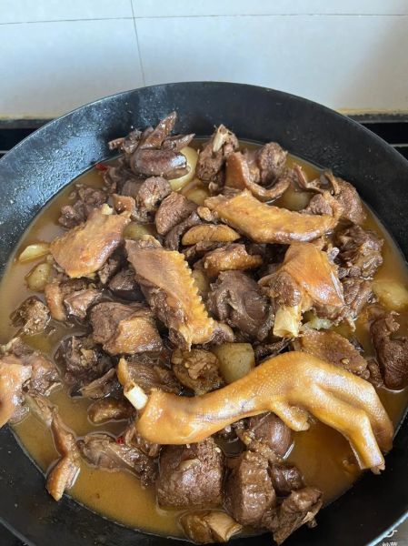 炖鸭子的家常做法_炖鸭子怎么做好吃又简单