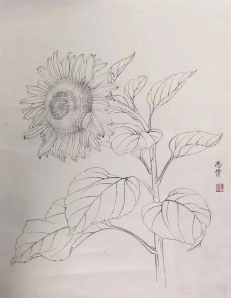 工笔画入门材料有哪些_工笔画线条怎么练