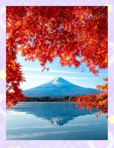 秋季去哪看枫叶_最佳赏枫时间