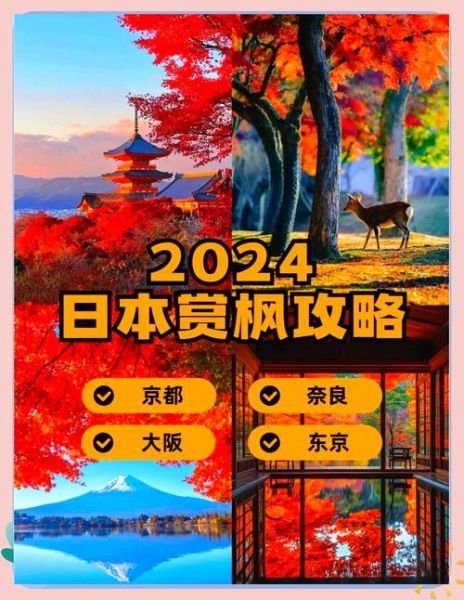 秋季去哪看枫叶_最佳赏枫时间