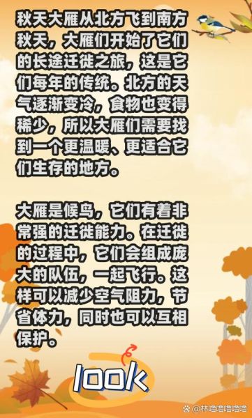 大雁为什么向南飞_大雁南飞路线有哪些