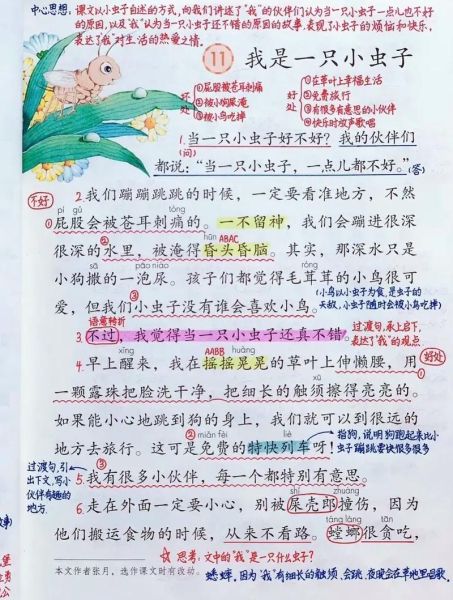 虫子怎么写词语_虫子组词有哪些