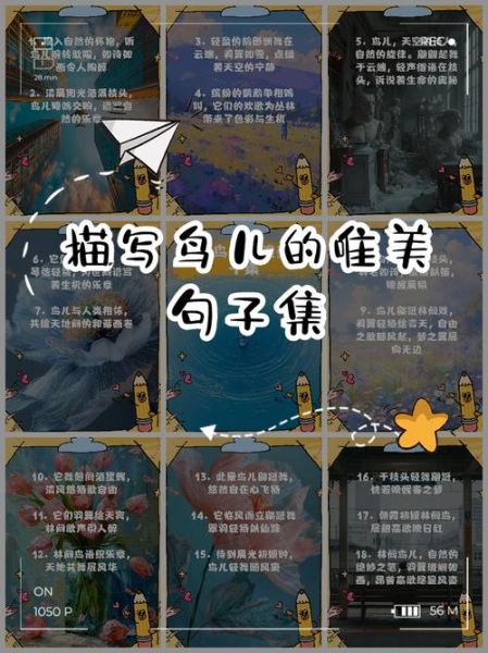 鸟儿怎么写词语_鸟儿词语怎么造句