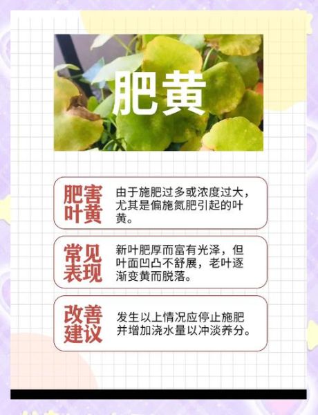 树叶为什么会变黄_树叶变黄怎么办