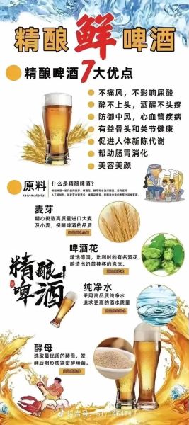 精酿啤酒为什么这么贵_高端啤酒口感特点