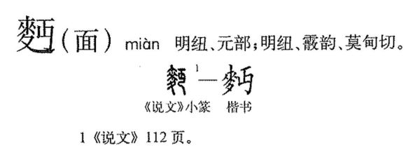 面生是什么意思_如何形容面生