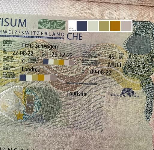 瑞士中医移民条件_瑞士中医工作签证