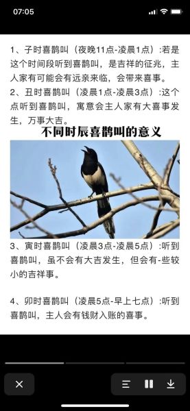 喜鹊aa词语有哪些_如何正确运用