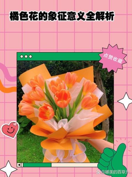 橙色代表什么_橙色象征意义有哪些