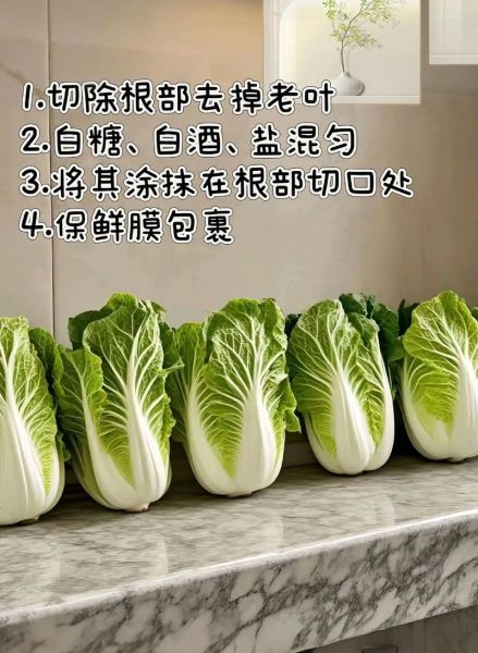 白菜怎么挑选_新鲜白菜保存方法