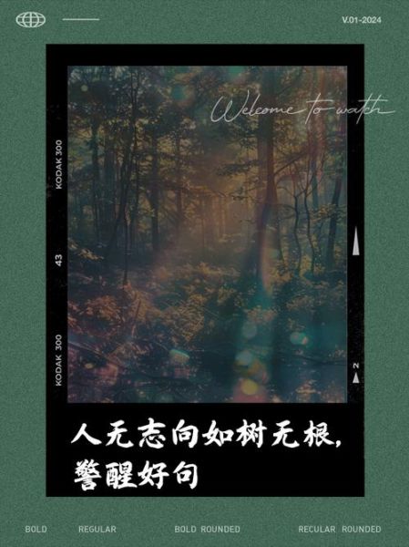 人无志的下一句是什么_如何理解人无志