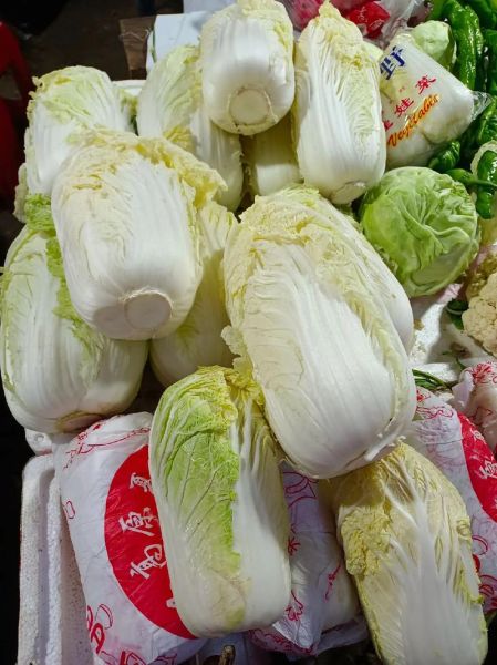 白菜怎么挑选_新鲜白菜保存方法
