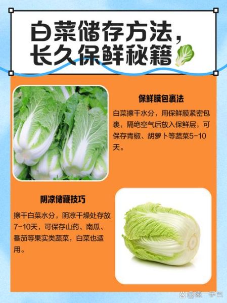 白菜怎么挑选_新鲜白菜保存方法