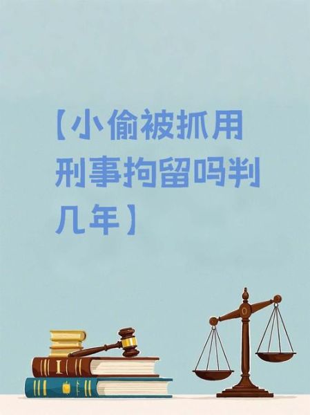 抓到小偷怎么形容_形容小偷被擒的词语