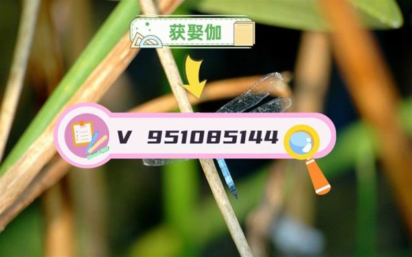 甜丝丝的近义词有哪些_甜丝丝是什么意思