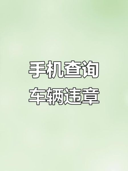 手机查车怎么查_手机查车违章多久更新