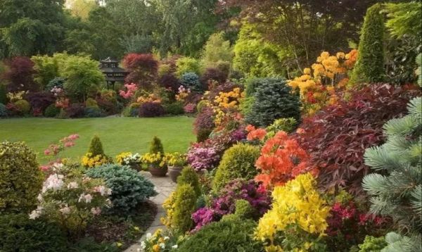 庭院景色怎么搭配_庭院四季植物推荐