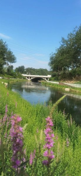 小河春天有什么好玩的_小河春天适合拍照吗