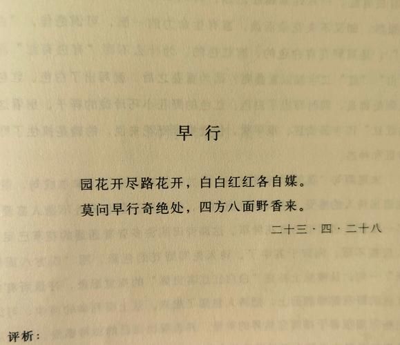 野花什么填空词语_野花填什么形容词最贴切