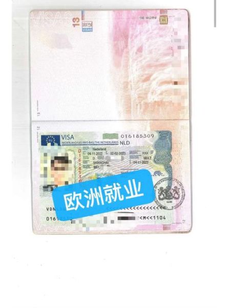 荷兰厨师移民条件_荷兰厨师工作签证怎么申请