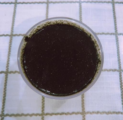 黑芝麻酱怎么做_自制黑芝麻酱需要炒多久