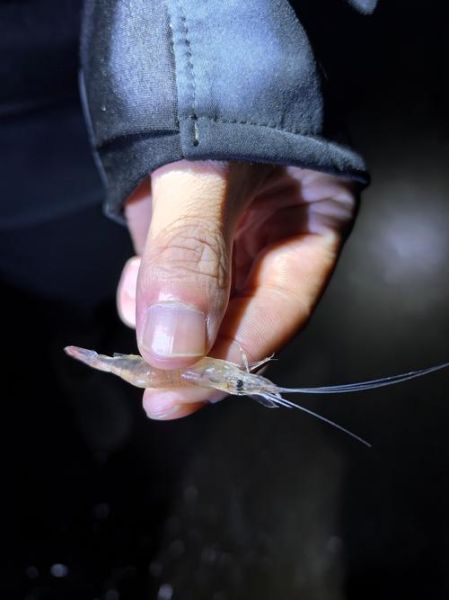 渔夫是什么意思_渔夫网络用语出处