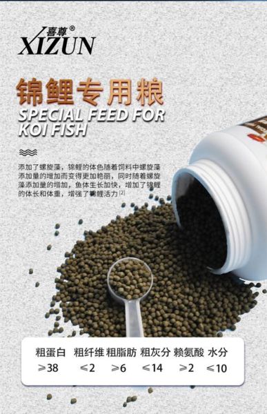 小鱼用什么饲料好_小鱼多久喂一次