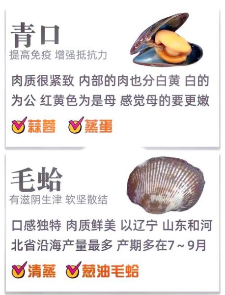 毛贝怎么清洗_毛贝的家常做法步骤