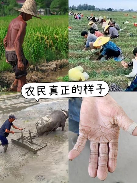 不农民是什么意思_不农民是贬义词吗