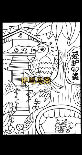 关爱鸟的正确方法_如何保护鸟类栖息地