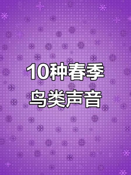 鸟儿怎么叫_鸟儿叫声大全
