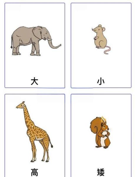 耻矮子词语是什么意思_耻矮子词语有哪些