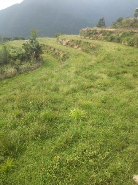 农田荒废的原因有哪些_如何治理农田荒废