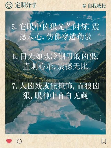 狼凶狠的词语有哪些_如何描写狼的凶狠