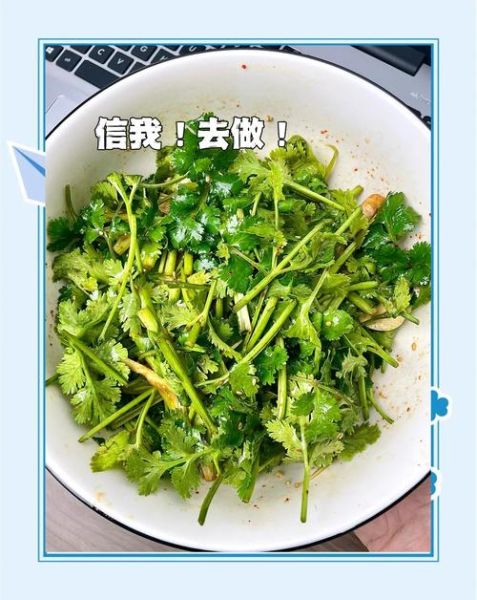 凉拌香菜怎么做好吃_凉拌香菜要不要焯水