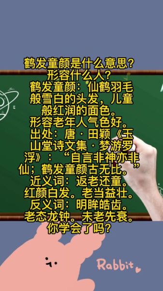 鹤发童颜是什么意思_如何描写鹤发老人