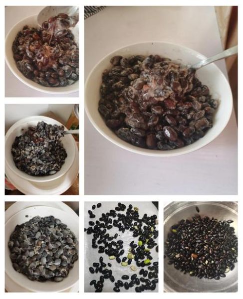 纳豆怎么做_家庭自制纳豆详细步骤