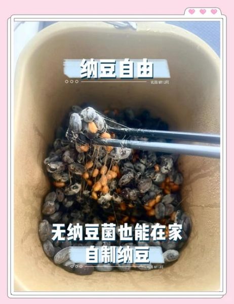 纳豆怎么做_家庭自制纳豆详细步骤