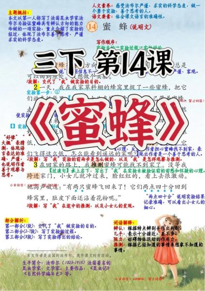 蜜蜂精神有哪些_如何学习蜜蜂精神