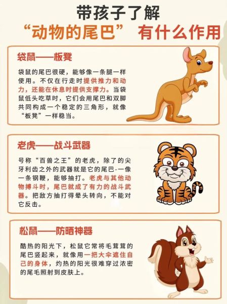 动物的尾巴有什么作用_不同尾巴的功能差异